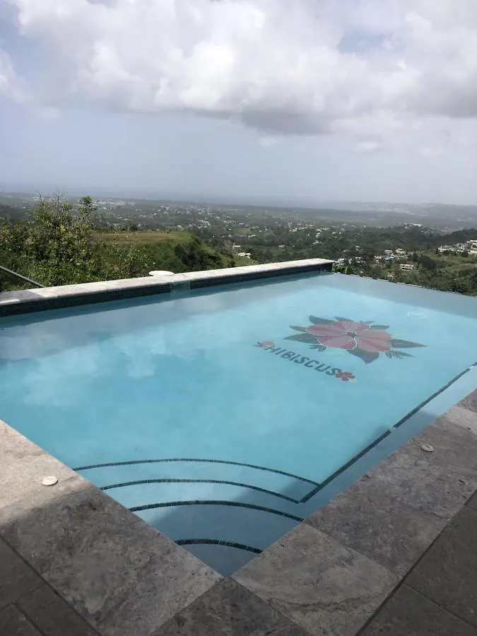 Hibiscus Pr Apt Hotel Aguada Puerto Rico